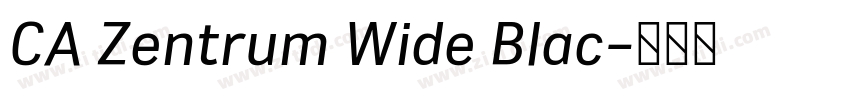 CA Zentrum Wide Blac字体转换